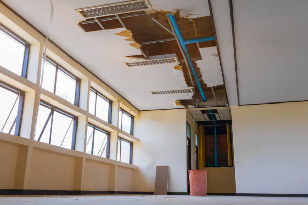 Best Water damage cleanup near me  in East End, AR
