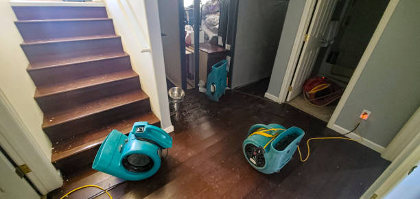 Best 24/7 water damage repair  in East End, AR