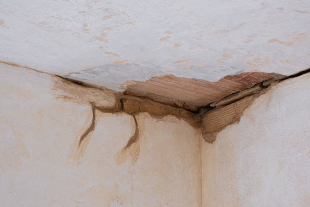 Best Fire Damage Restoration  in East End, AR