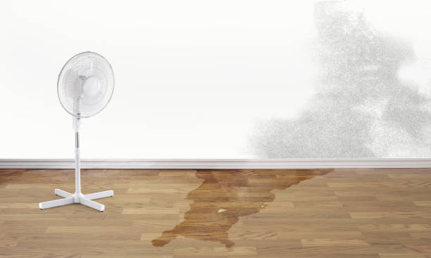 Water damage restoration process in East End, AR