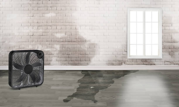 Best Residential water damage restoration  in East End, AR