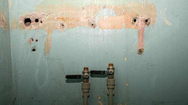 Best Water damage restoration near me  in East End, AR