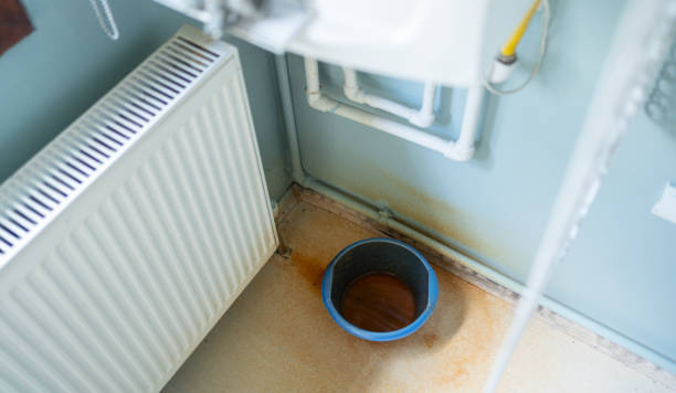 Best Professional water damage repair  in East End, AR