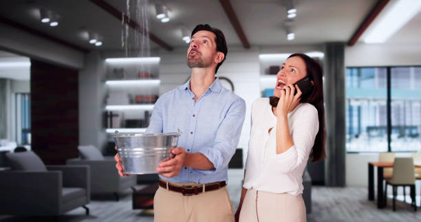 Best Flood damage cleanup  in East End, AR